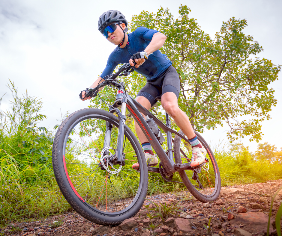 vtt dans les bois